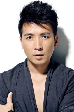 保剑锋个人资料介绍,影视界多面手，才华横溢的演员人生