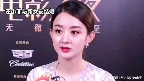 娱乐八卦吃瓜赵丽颖小说在线阅读